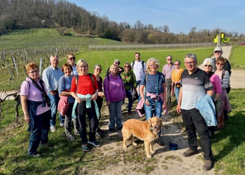 6d07e9d5-79c2-4a93-8e45-cbc3ac4167a2